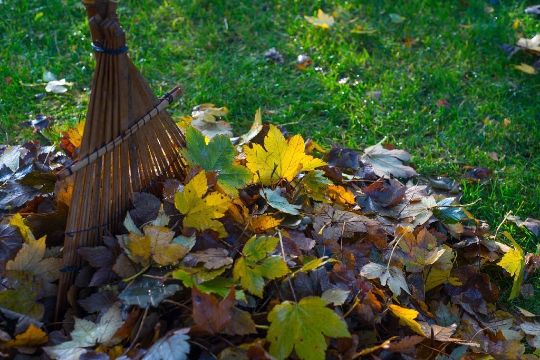 Garden maintenance and planting