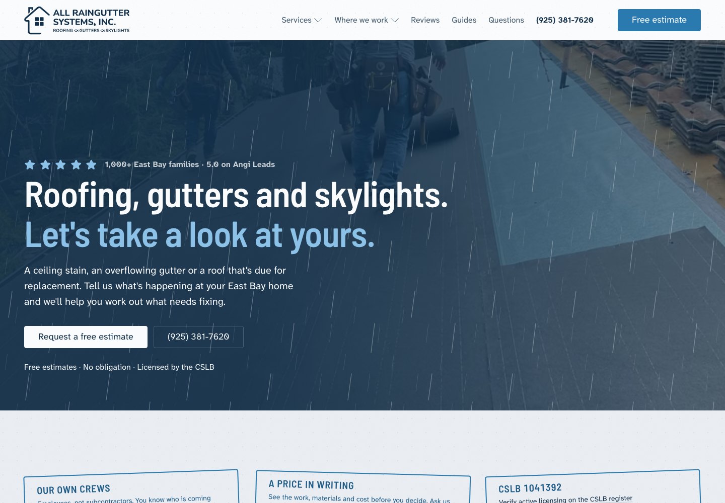 All Raingutter Systems website preview